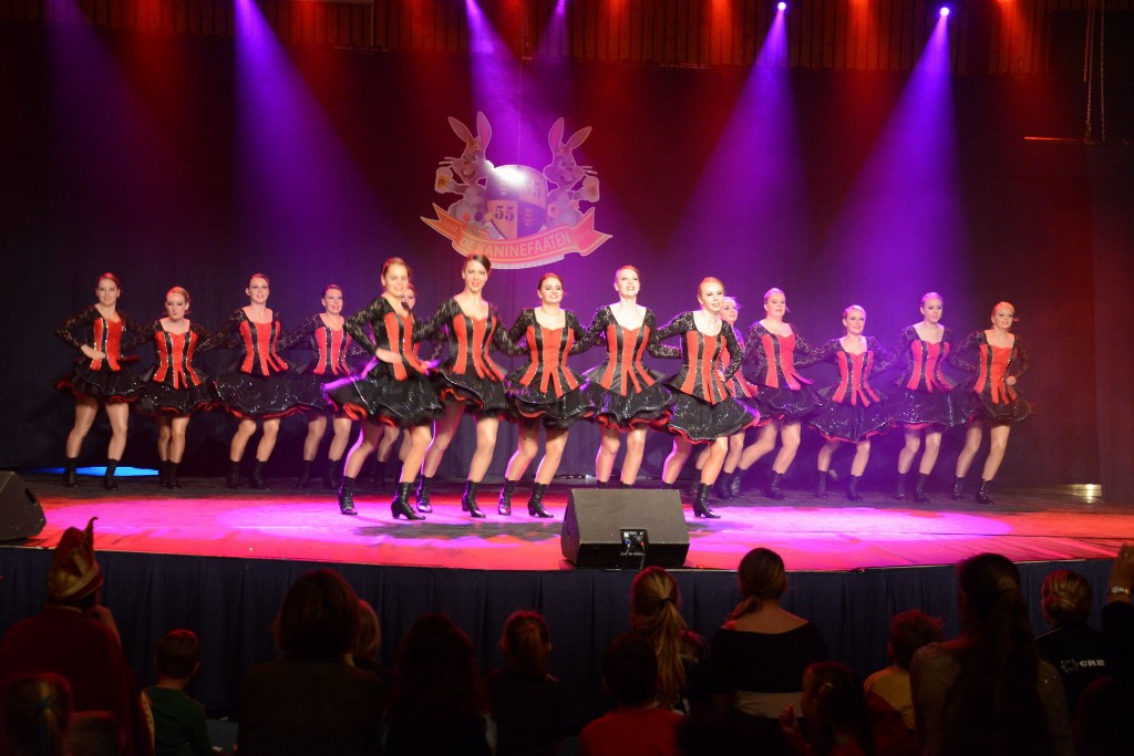 ../Images/Dansmarieke festival 2015 252.jpg